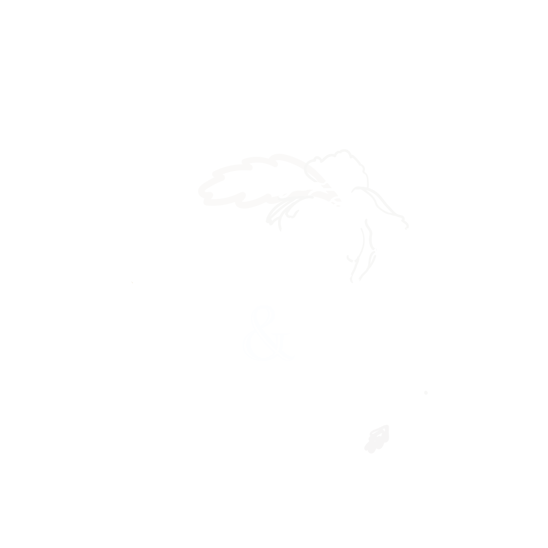 light logo